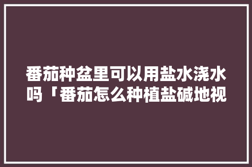 番茄种盆里可以用盐水浇水吗「番茄怎么种植盐碱地视频」 番茄种盆里可以用盐水浇水吗「番茄怎么种植盐碱地视频」 土壤施肥