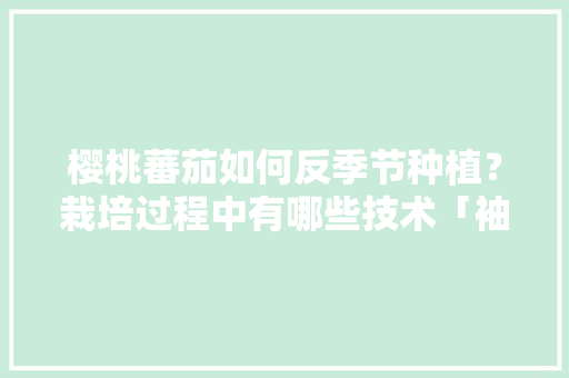 樱桃蕃茄如何反季节种植？栽培过程中有哪些技术「袖珍番茄怎么种植视频教程」 樱桃蕃茄如何反季节种植？栽培过程中有哪些技术「袖珍番茄怎么种植视频教程」 植物种类