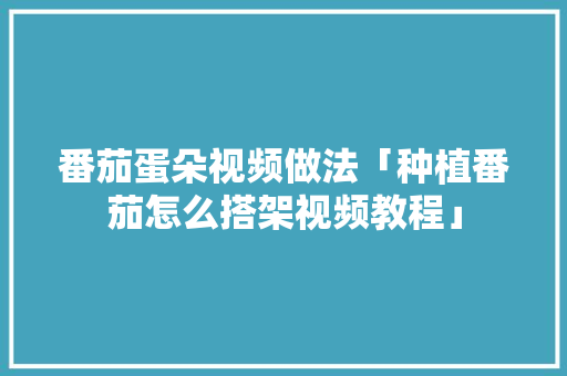 番茄蛋朵视频做法「种植番茄怎么搭架视频教程」 番茄蛋朵视频做法「种植番茄怎么搭架视频教程」 植物种类