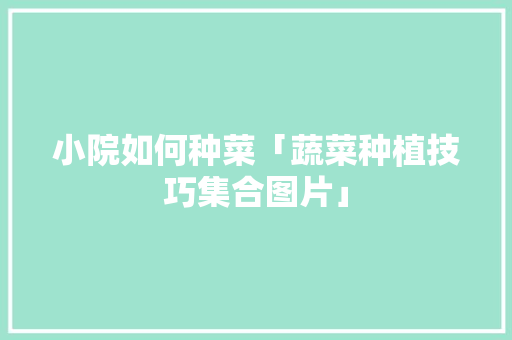 小院如何种菜「蔬菜种植技巧集合图片」 小院如何种菜「蔬菜种植技巧集合图片」 花朵知识