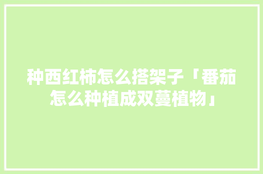 种西红柿怎么搭架子「番茄怎么种植成双蔓植物」 种西红柿怎么搭架子「番茄怎么种植成双蔓植物」 植物种类