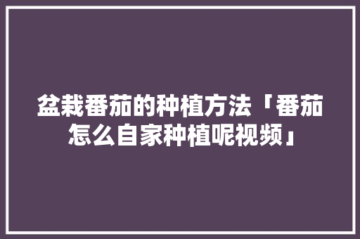 盆栽番茄的种植方法「番茄怎么自家种植呢视频」 盆栽番茄的种植方法「番茄怎么自家种植呢视频」 番茄病虫害防治