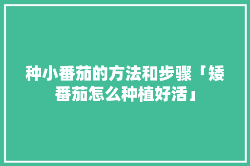 种小番茄的方法和步骤「矮番茄怎么种植好活」 种植技巧 种小番茄的方法和步骤「矮番茄怎么种植好活」 种小番茄的方法和步骤「矮番茄怎么种植好活」 种植技巧
