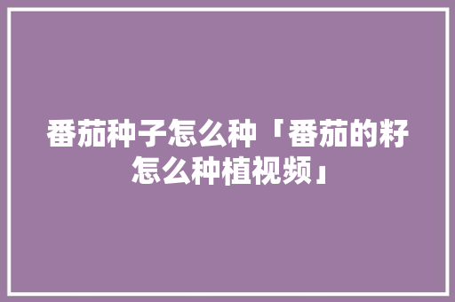 番茄种子怎么种「番茄的籽怎么种植视频」 番茄种子怎么种「番茄的籽怎么种植视频」 番茄病虫害防治