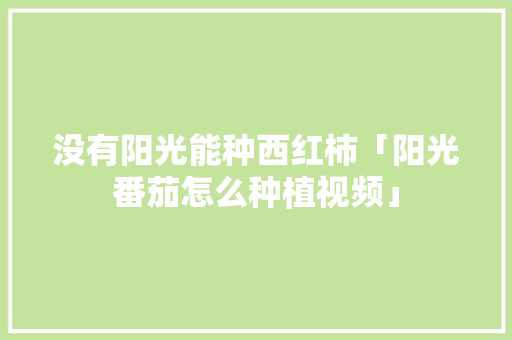 没有阳光能种西红柿「阳光番茄怎么种植视频」 没有阳光能种西红柿「阳光番茄怎么种植视频」 番茄病虫害防治