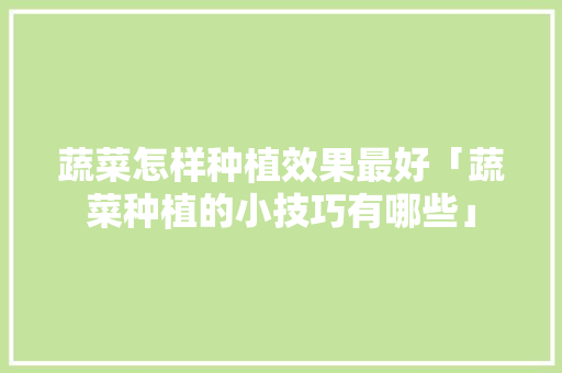 蔬菜怎样种植效果最好「蔬菜种植的小技巧有哪些」 蔬菜怎样种植效果最好「蔬菜种植的小技巧有哪些」 植物种类