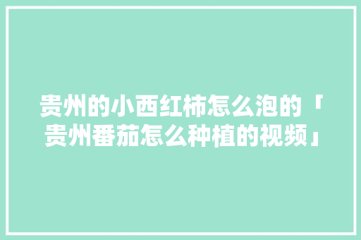 贵州的小西红柿怎么泡的「贵州番茄怎么种植的视频」 贵州的小西红柿怎么泡的「贵州番茄怎么种植的视频」 植物种类