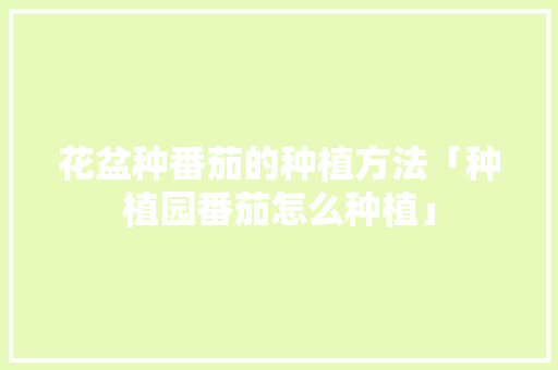 花盆种番茄的种植方法「种植园番茄怎么种植」 花盆种番茄的种植方法「种植园番茄怎么种植」 农业常识
