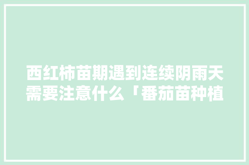 西红柿苗期遇到连续阴雨天需要注意什么「番茄苗种植后怎么防晒呢」 西红柿苗期遇到连续阴雨天需要注意什么「番茄苗种植后怎么防晒呢」 番茄病虫害防治