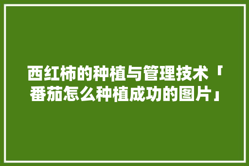 西红柿的种植与管理技术「番茄怎么种植成功的图片」 西红柿的种植与管理技术「番茄怎么种植成功的图片」 番茄病虫害防治
