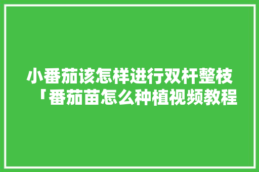 小番茄该怎样进行双杆整枝「番茄苗怎么种植视频教程」 小番茄该怎样进行双杆整枝「番茄苗怎么种植视频教程」 植物种类