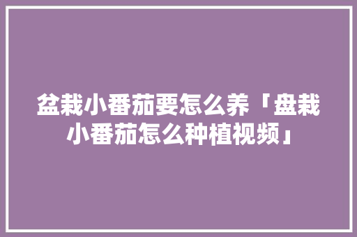 盆栽小番茄要怎么养「盘栽小番茄怎么种植视频」 盆栽小番茄要怎么养「盘栽小番茄怎么种植视频」 土壤施肥