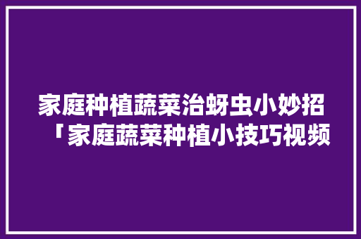 家庭种植蔬菜治蚜虫小妙招「家庭蔬菜种植小技巧视频」