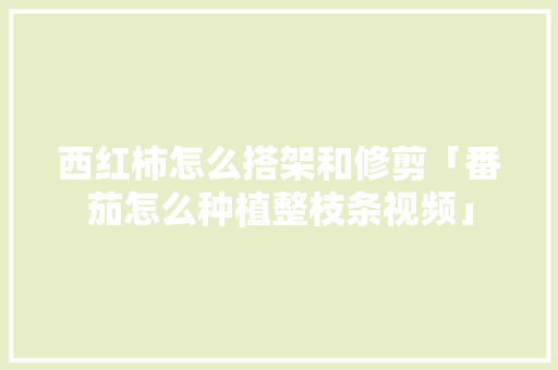 西红柿怎么搭架和修剪「番茄怎么种植整枝条视频」 西红柿怎么搭架和修剪「番茄怎么种植整枝条视频」 番茄病虫害防治