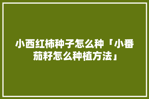 小西红柿种子怎么种「小番茄籽怎么种植方法」 小西红柿种子怎么种「小番茄籽怎么种植方法」 植物种类