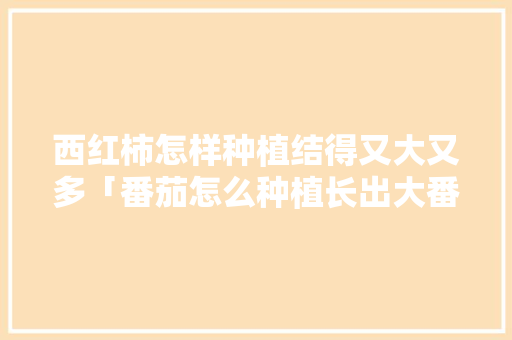 西红柿怎样种植结得又大又多「番茄怎么种植长出大番茄呢」 西红柿怎样种植结得又大又多「番茄怎么种植长出大番茄呢」 种植技巧
