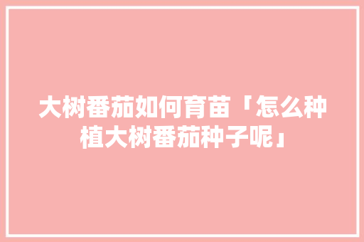 大树番茄如何育苗「怎么种植大树番茄种子呢」 大树番茄如何育苗「怎么种植大树番茄种子呢」 植物种类