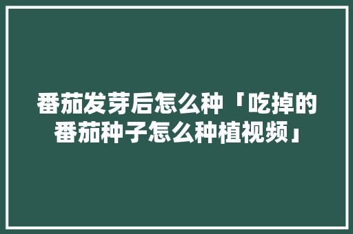 番茄发芽后怎么种「吃掉的番茄种子怎么种植视频」 番茄发芽后怎么种「吃掉的番茄种子怎么种植视频」 土壤施肥