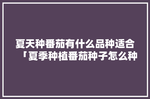 夏天种番茄有什么品种适合「夏季种植番茄种子怎么种植」 夏天种番茄有什么品种适合「夏季种植番茄种子怎么种植」 花朵知识