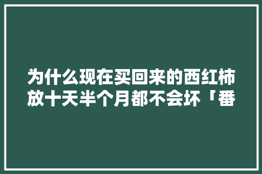为什么现在买回来的西红柿放十天半个月都不会坏「番茄怎么种植不坏果子呢」 为什么现在买回来的西红柿放十天半个月都不会坏「番茄怎么种植不坏果子呢」 种植技巧