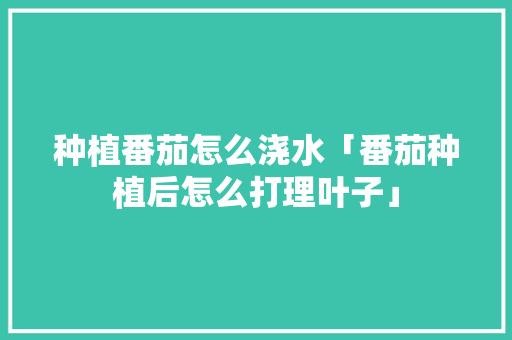 种植番茄怎么浇水「番茄种植后怎么打理叶子」 种植番茄怎么浇水「番茄种植后怎么打理叶子」 种植技巧