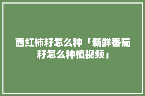 西红柿籽怎么种「新鲜番茄籽怎么种植视频」 西红柿籽怎么种「新鲜番茄籽怎么种植视频」 农业常识