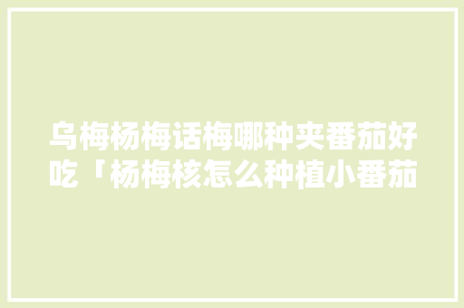 乌梅杨梅话梅哪种夹番茄好吃「杨梅核怎么种植小番茄视频」 乌梅杨梅话梅哪种夹番茄好吃「杨梅核怎么种植小番茄视频」 农业常识
