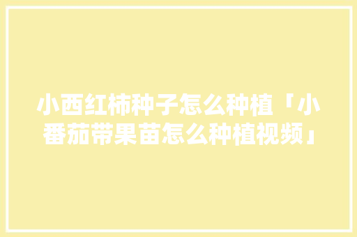 小西红柿种子怎么种植「小番茄带果苗怎么种植视频」 小西红柿种子怎么种植「小番茄带果苗怎么种植视频」 土壤施肥