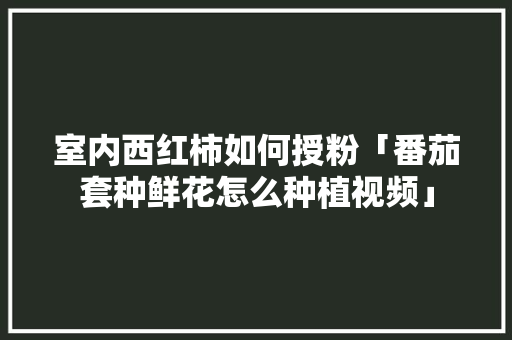 室内西红柿如何授粉「番茄套种鲜花怎么种植视频」 室内西红柿如何授粉「番茄套种鲜花怎么种植视频」 番茄病虫害防治