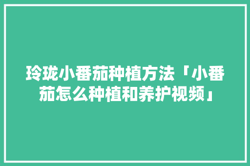 玲珑小番茄种植方法「小番茄怎么种植和养护视频」 玲珑小番茄种植方法「小番茄怎么种植和养护视频」 番茄病虫害防治