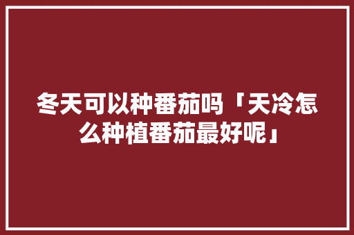 冬天可以种番茄吗「天冷怎么种植番茄最好呢」 冬天可以种番茄吗「天冷怎么种植番茄最好呢」 花朵知识