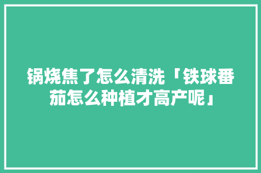 锅烧焦了怎么清洗「铁球番茄怎么种植才高产呢」