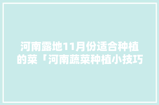 河南露地11月份适合种植的菜「河南蔬菜种植小技巧图解视频」
