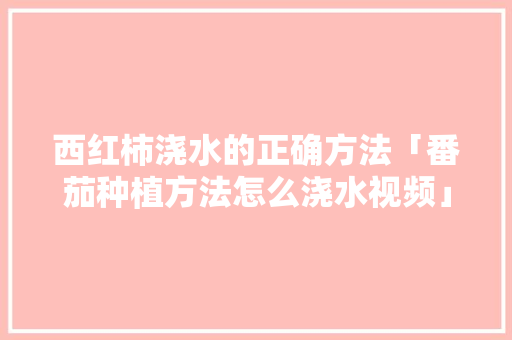 西红柿浇水的正确方法「番茄种植方法怎么浇水视频」 番茄病虫害防治 西红柿浇水的正确方法「番茄种植方法怎么浇水视频」 西红柿浇水的正确方法「番茄种植方法怎么浇水视频」 番茄病虫害防治