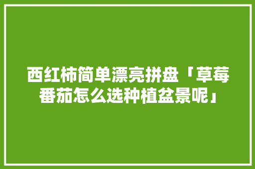 西红柿简单漂亮拼盘「草莓番茄怎么选种植盆景呢」 土壤施肥 西红柿简单漂亮拼盘「草莓番茄怎么选种植盆景呢」 西红柿简单漂亮拼盘「草莓番茄怎么选种植盆景呢」 土壤施肥