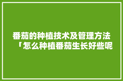番茄的种植技术及管理方法「怎么种植番茄生长好些呢视频」 番茄的种植技术及管理方法「怎么种植番茄生长好些呢视频」 植物种类