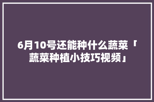 6月10号还能种什么蔬菜「蔬菜种植小技巧视频」