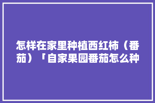 怎样在家里种植西红柿（番茄）「自家果园番茄怎么种植的」 怎样在家里种植西红柿（番茄）「自家果园番茄怎么种植的」 番茄种植技巧