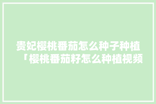 贵妃樱桃番茄怎么种子种植「樱桃番茄籽怎么种植视频」 番茄病虫害防治 贵妃樱桃番茄怎么种子种植「樱桃番茄籽怎么种植视频」 贵妃樱桃番茄怎么种子种植「樱桃番茄籽怎么种植视频」 番茄病虫害防治
