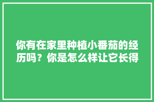 你有在家里种植小番茄的经历吗？你是怎么样让它长得更好的「家庭种植番茄怎么种好呢视频」 你有在家里种植小番茄的经历吗？你是怎么样让它长得更好的「家庭种植番茄怎么种好呢视频」 种植技巧