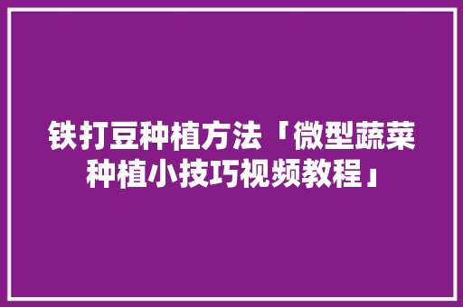 铁打豆种植方法「微型蔬菜种植小技巧视频教程」