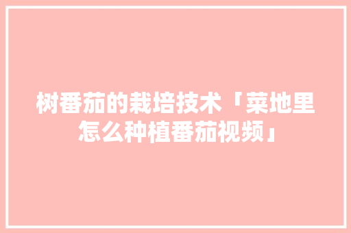 树番茄的栽培技术「菜地里怎么种植番茄视频」 树番茄的栽培技术「菜地里怎么种植番茄视频」 番茄种植技巧
