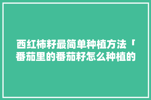 西红柿籽最简单种植方法「番茄里的番茄籽怎么种植的」 西红柿籽最简单种植方法「番茄里的番茄籽怎么种植的」 番茄病虫害防治