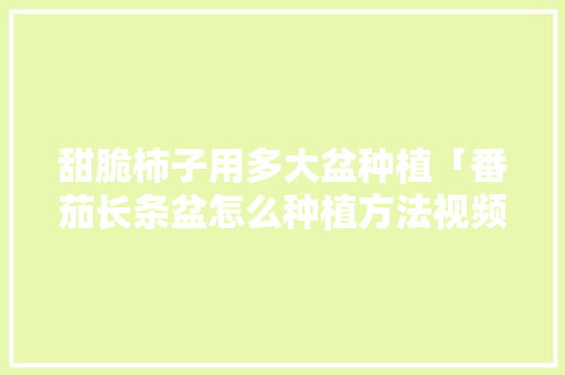 甜脆柿子用多大盆种植「番茄长条盆怎么种植方法视频」 甜脆柿子用多大盆种植「番茄长条盆怎么种植方法视频」 农业常识