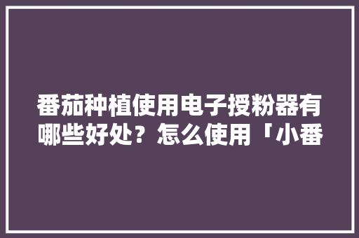 番茄种植使用电子授粉器有哪些好处？怎么使用「小番茄 种植工具怎么用视频」 番茄种植使用电子授粉器有哪些好处？怎么使用「小番茄 种植工具怎么用视频」 农业常识
