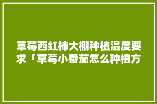 草莓西红柿大棚种植温度要求「草莓小番茄怎么种植方法」 草莓西红柿大棚种植温度要求「草莓小番茄怎么种植方法」 植物种类