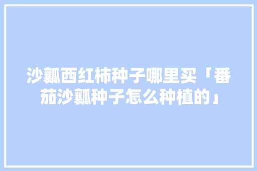 沙瓤西红柿种子哪里买「番茄沙瓤种子怎么种植的」