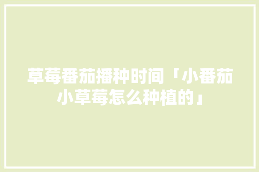 草莓番茄播种时间「小番茄小草莓怎么种植的」 草莓番茄播种时间「小番茄小草莓怎么种植的」 种植技巧