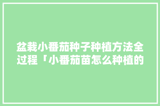 盆栽小番茄种子种植方法全过程「小番茄苗怎么种植的视频」 盆栽小番茄种子种植方法全过程「小番茄苗怎么种植的视频」 种植技巧