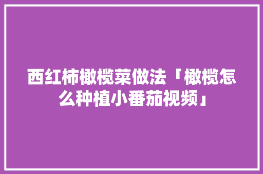 西红柿橄榄菜做法「橄榄怎么种植小番茄视频」